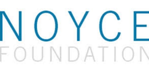 NOYCEFoundation's profile banner image