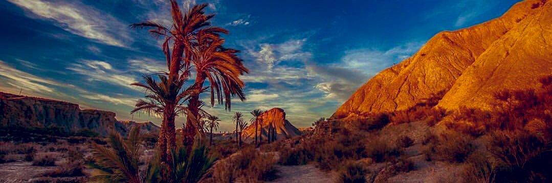 joselillo_4's profile banner image