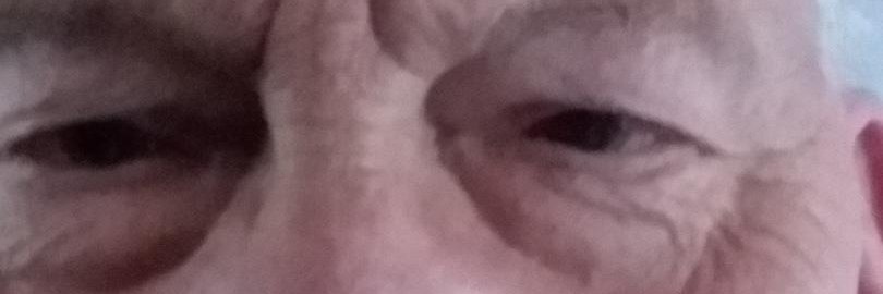 TRUMP 2024 ~ SUPERSIZE MAGA™ banner