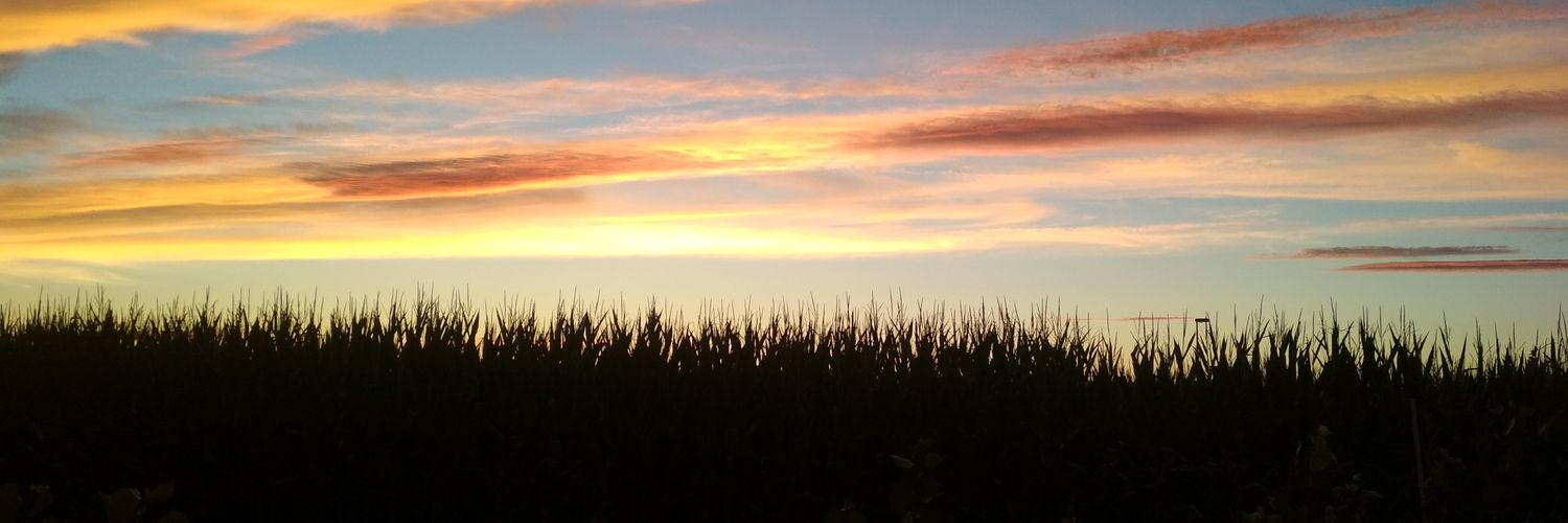 Faustino Climent banner