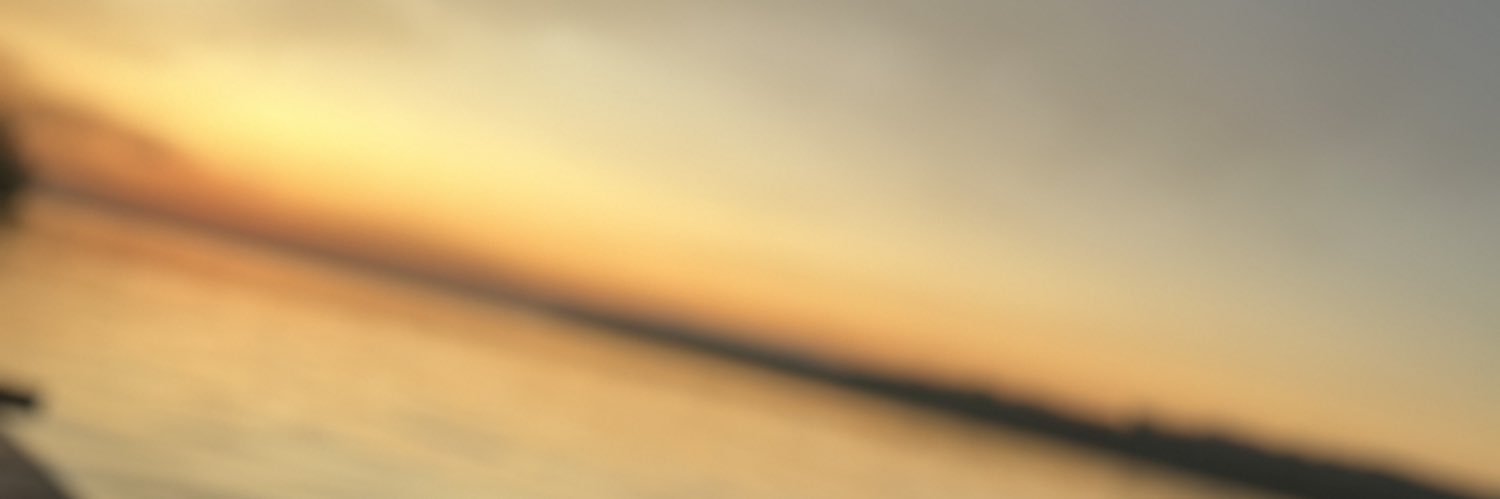 CarlasSt's profile banner image