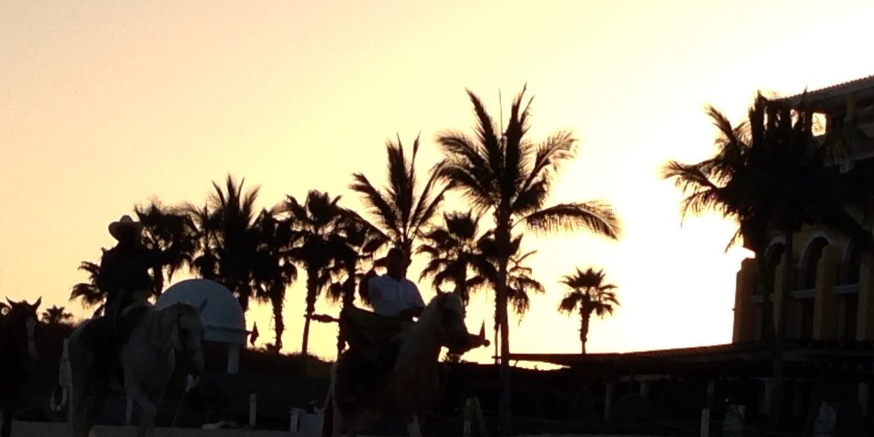 pete_13's profile banner image