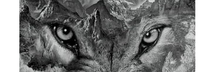 mihalo68's profile banner image