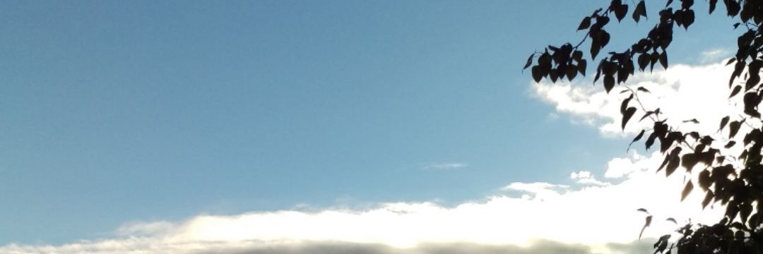 michaellee1122's profile banner image