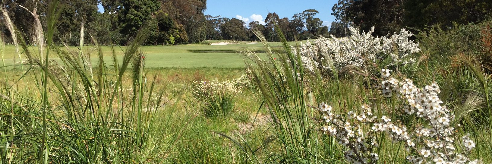 EnviroGolf's profile banner image