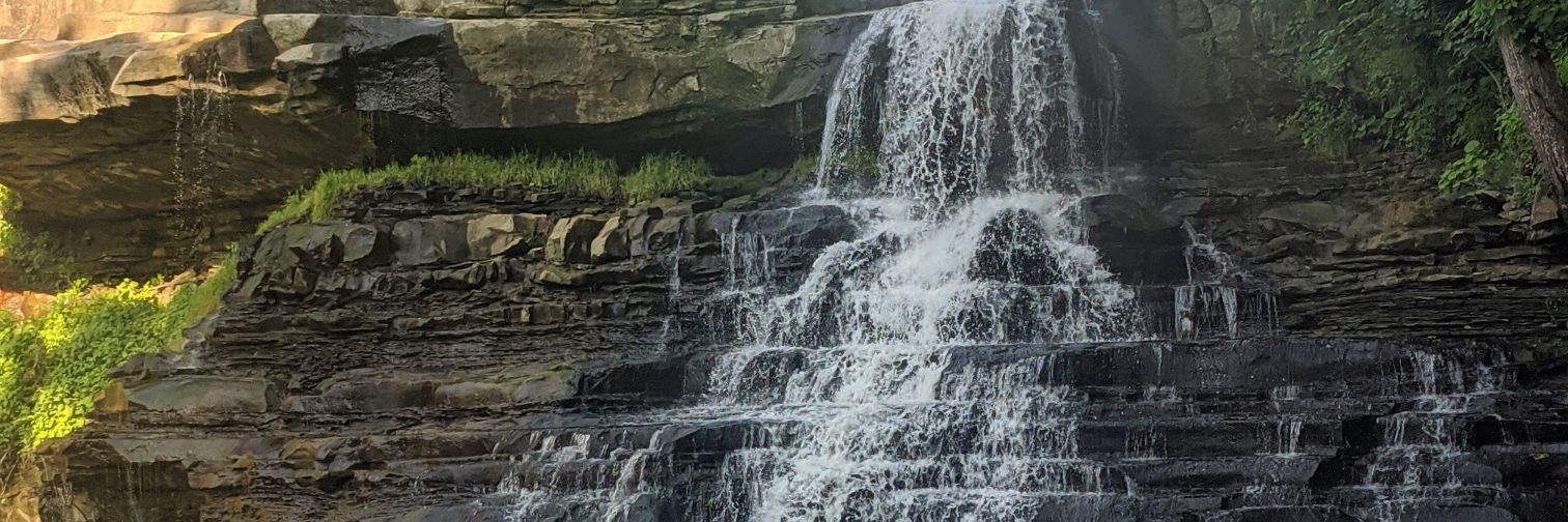 💀 howlin' ami 💀 banner