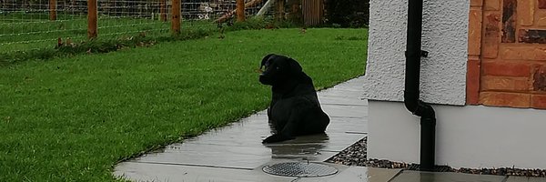 Sarahetty Profile Banner