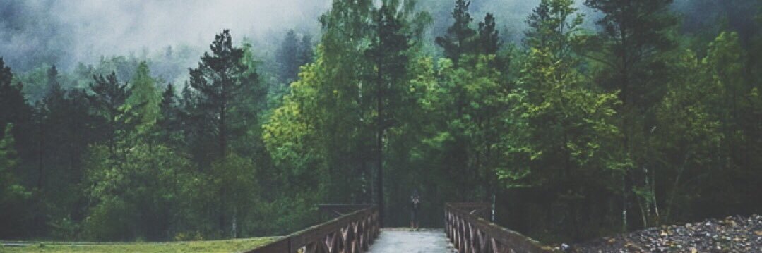hhusnik's profile banner image