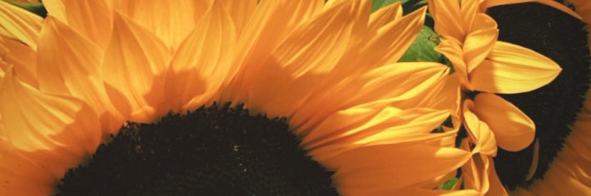 Chels_Lou's profile banner image