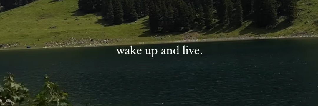 serene banner