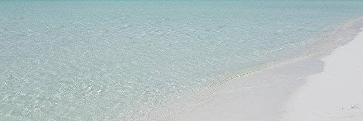 Teresa Farell banner