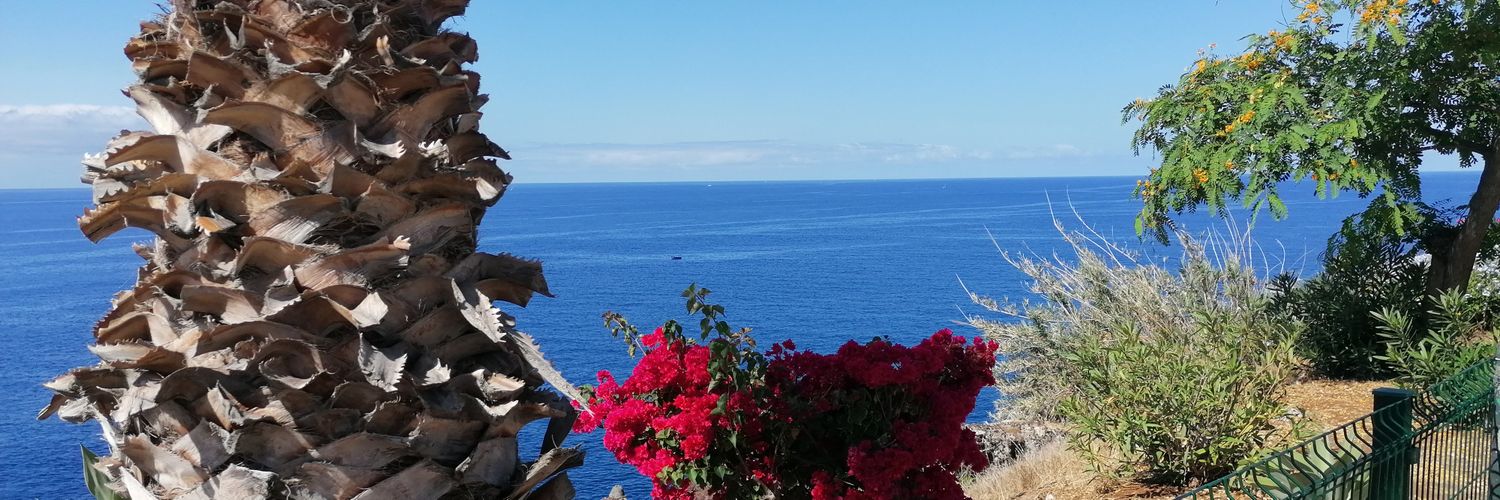 Victoria Allen 💙 banner