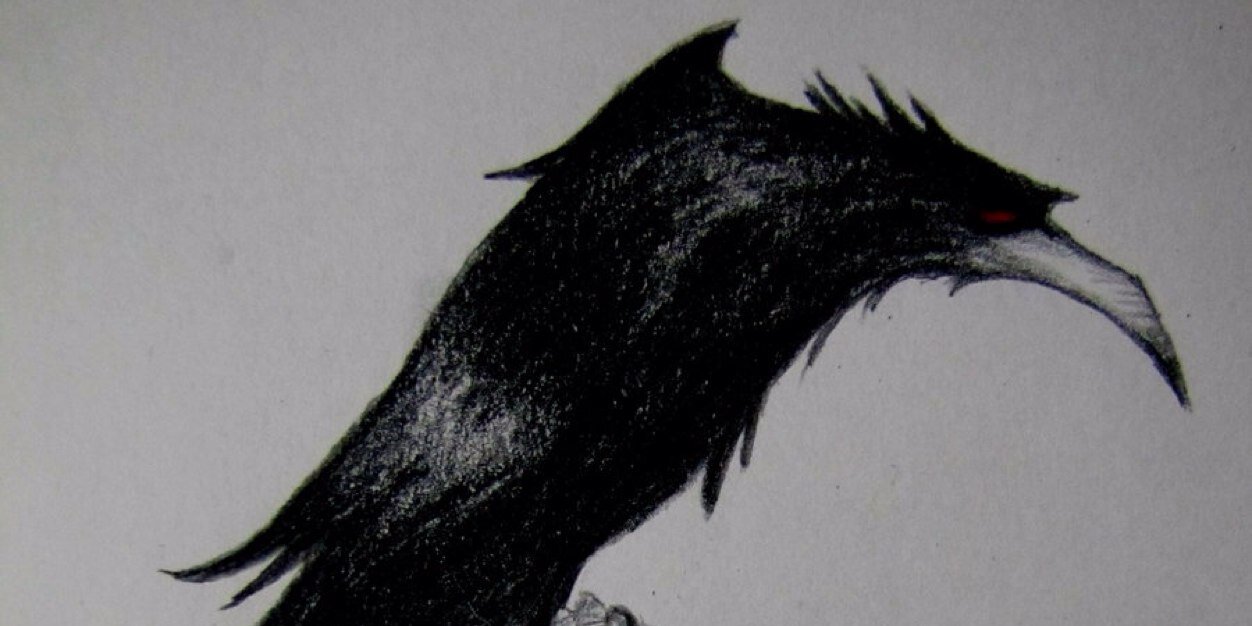 CrowKooky's profile banner image
