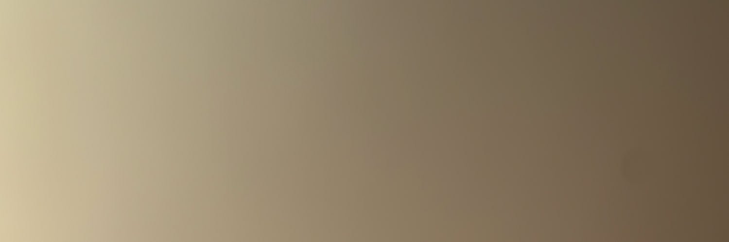 osmnozcelik's profile banner image