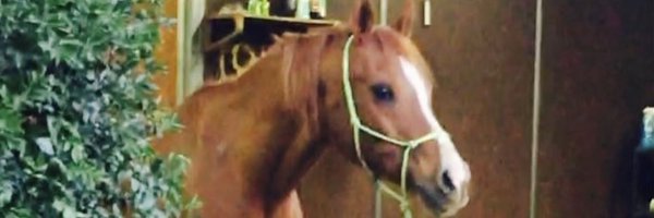 Fatima111111 Profile Banner