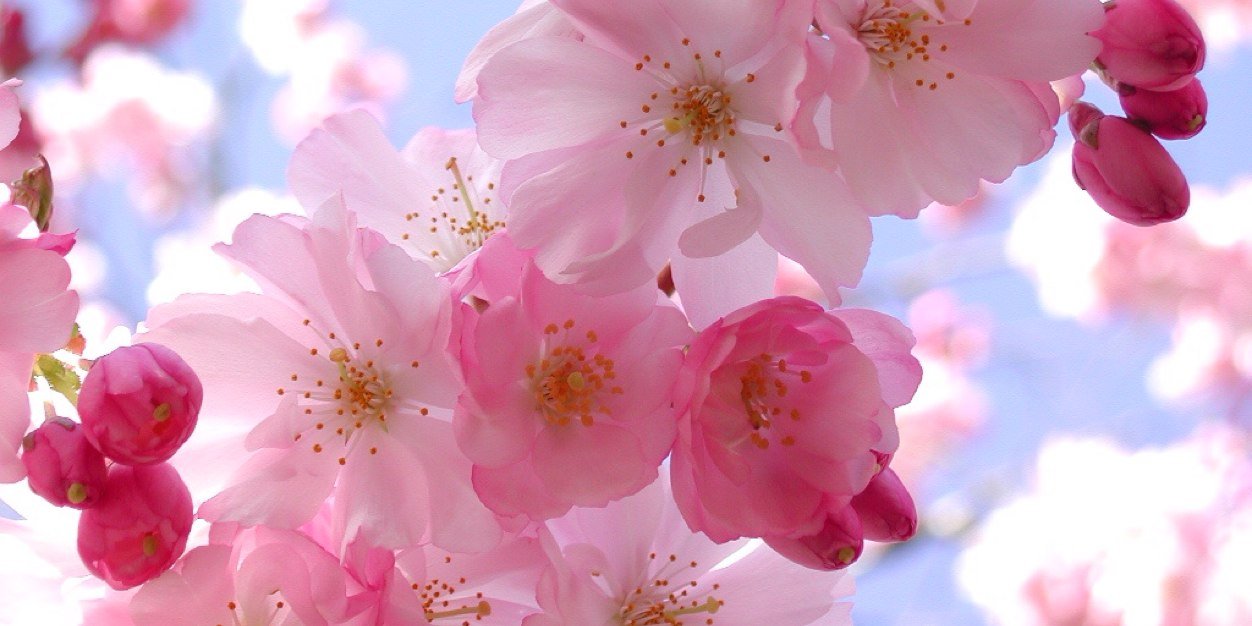 Astridekeland's profile banner image
