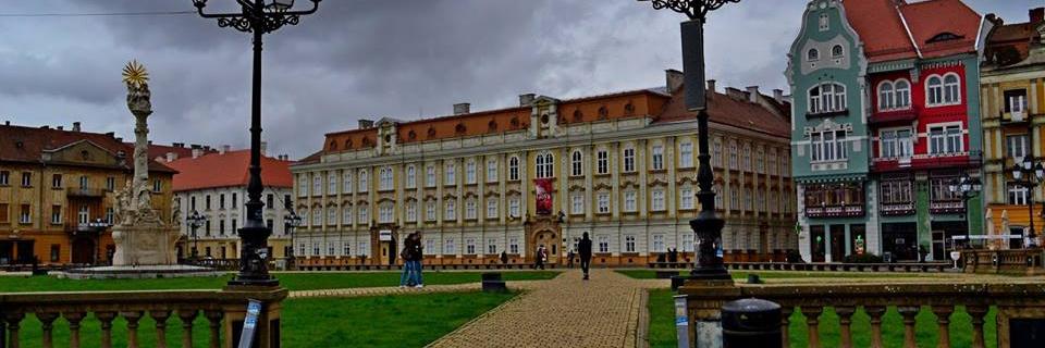 Mihai Lisetchi banner