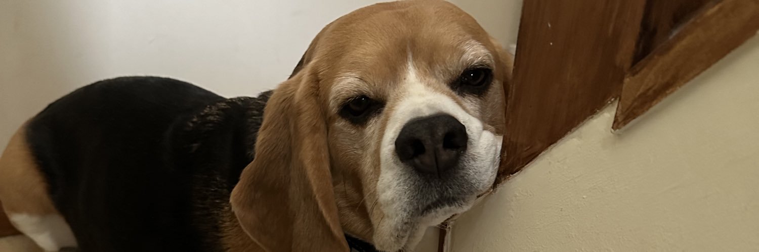 Richard Thompson banner