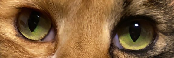 yunniky's profile banner image