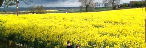 nettyday's profile banner image