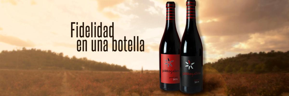 cerrogallina's profile banner image