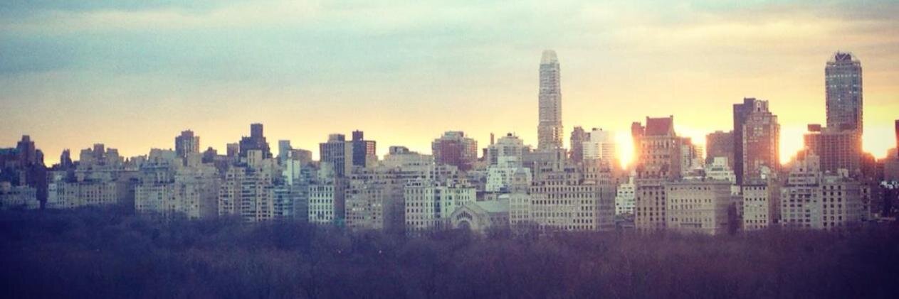 Elisa Roupenian Toha banner