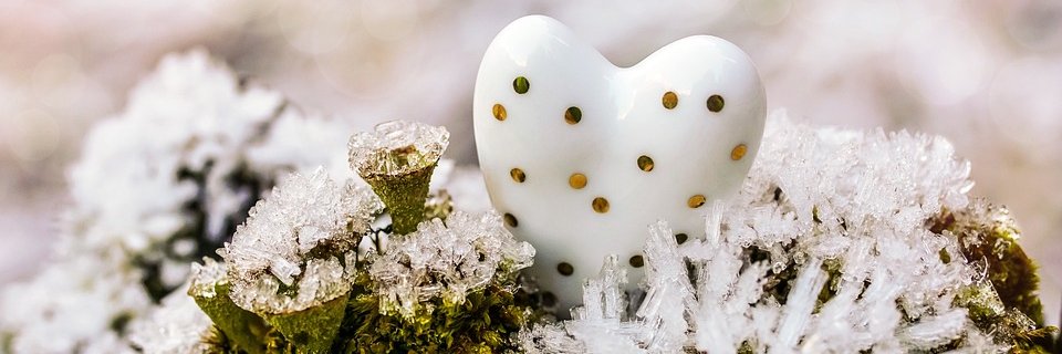 Veronika Padberg 🍀 ☮️ banner