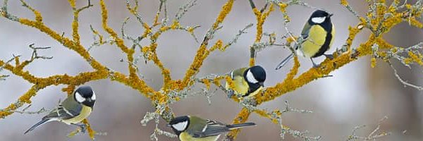 erinelofficial's profile banner image