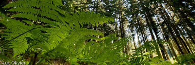 Vincent Ploton 🌍🌻 banner