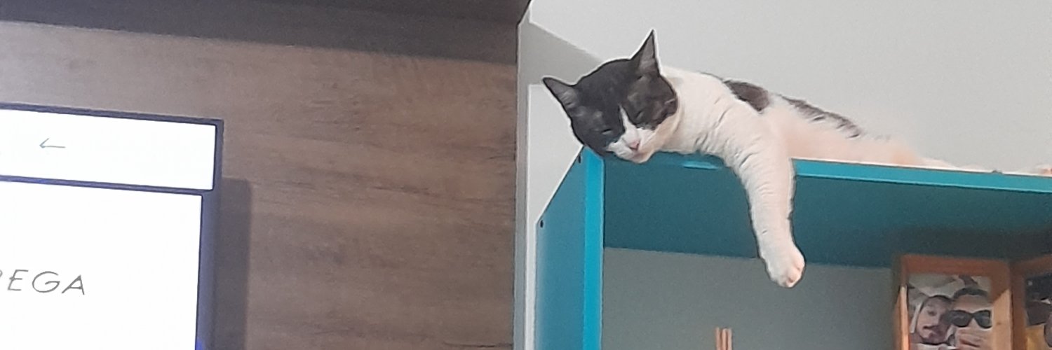 Romes🚩🎼🎵🎸 não leio DM banner