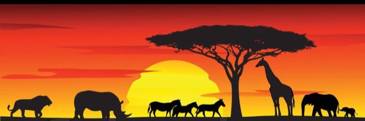 ZambeziFest's profile banner image