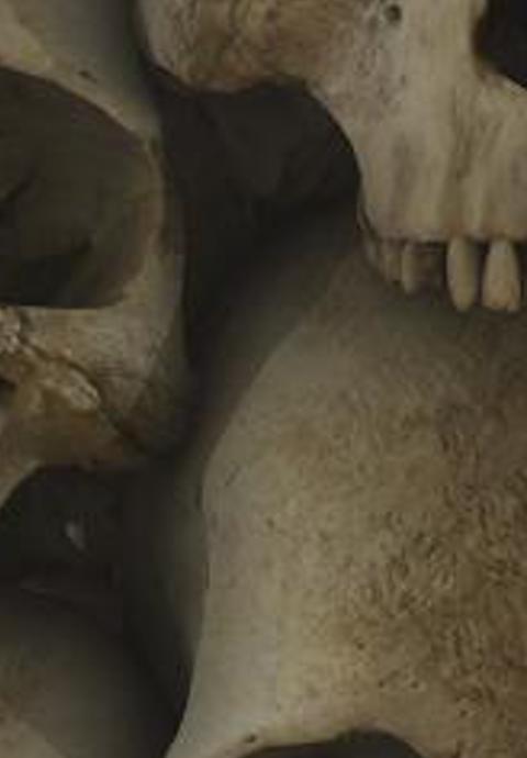 Ianwest40's profile banner image