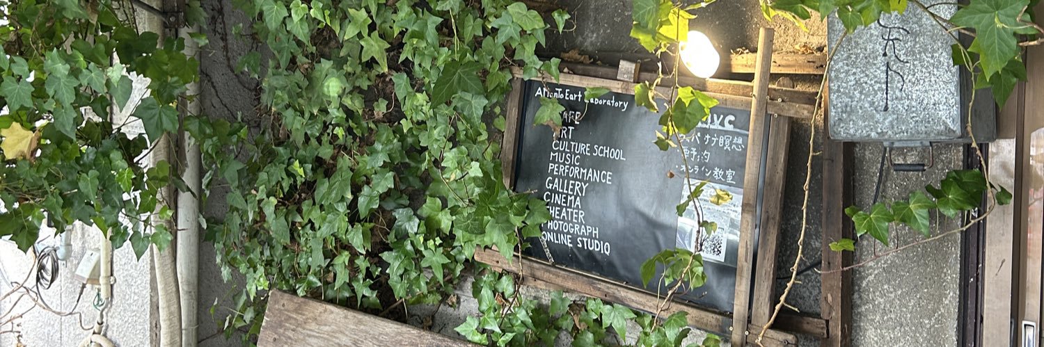 momo🐈‍⬛🖤 banner