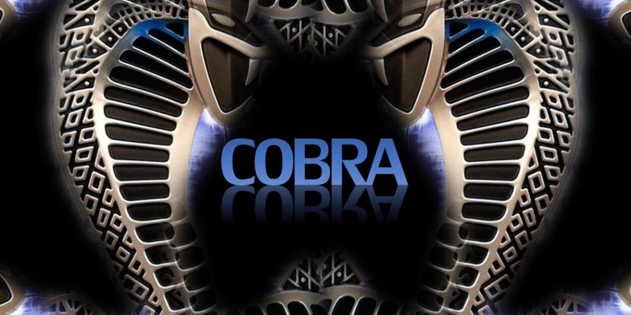 DaRealCobra's profile banner image