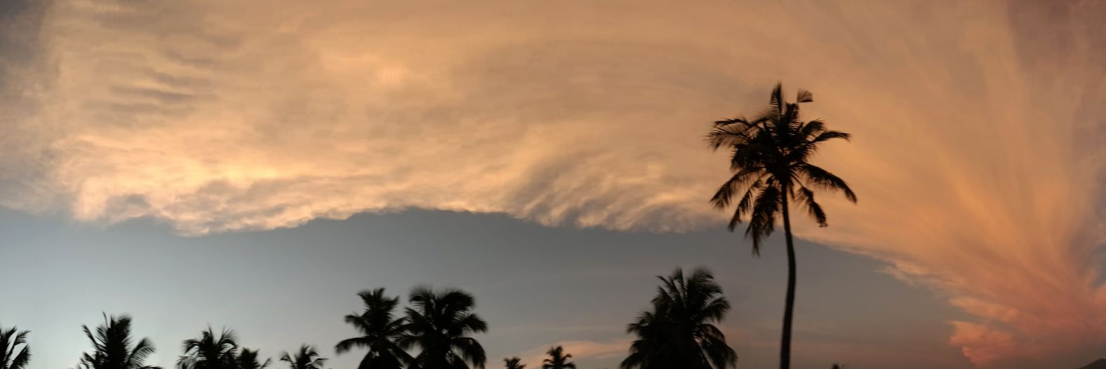 nivedhithaaa's profile banner image