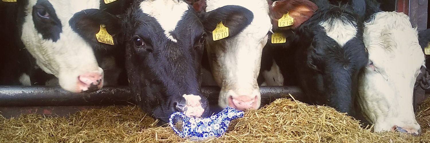 Jemma Baskeyfield banner