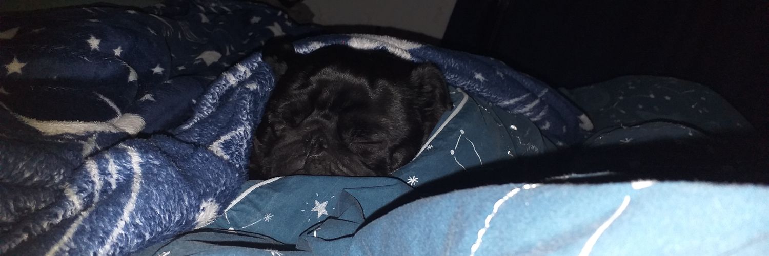 #Spartacus ('s dad) banner