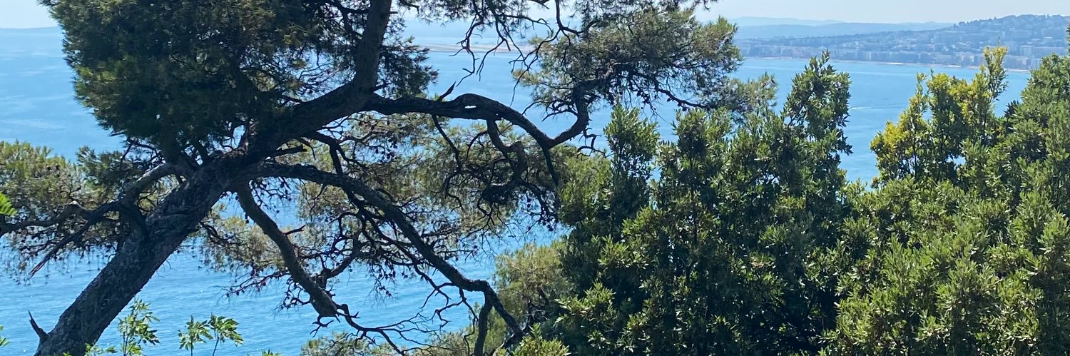 • Pascal • banner