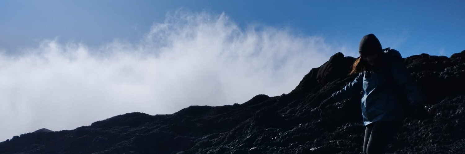 SarahGrdn's profile banner image