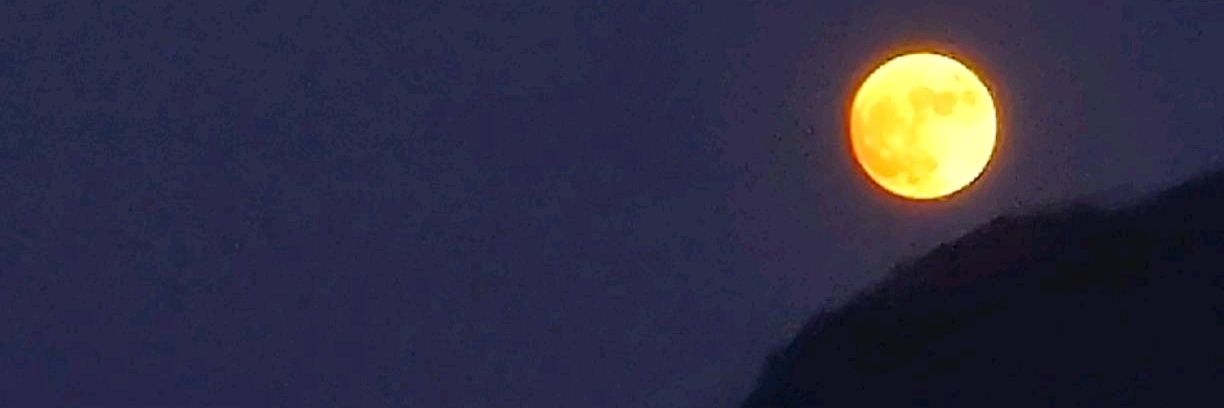 TityWarsiti's profile banner image