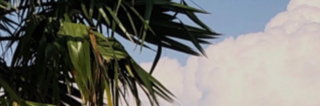 t_ds_a's profile banner image