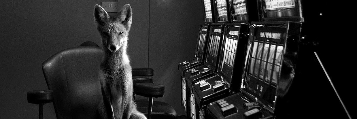 Razerwares's profile banner image