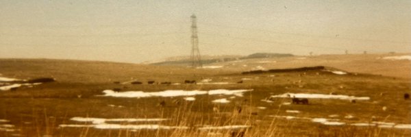 Alex_Niven Profile Banner