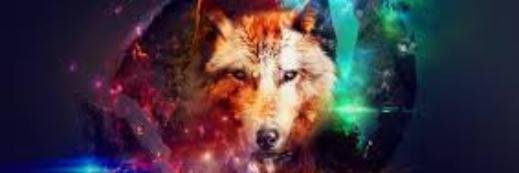 LaaisKaroolini's profile banner image