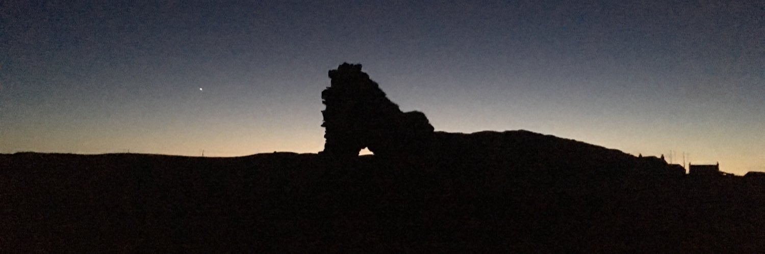 archaeodinosaur's profile banner image