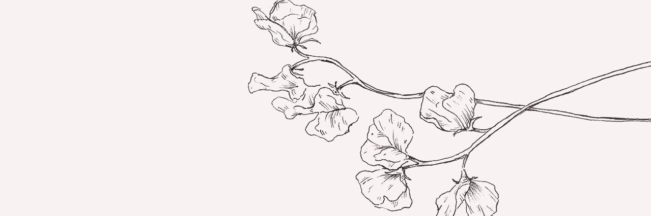 tgivip's profile banner image