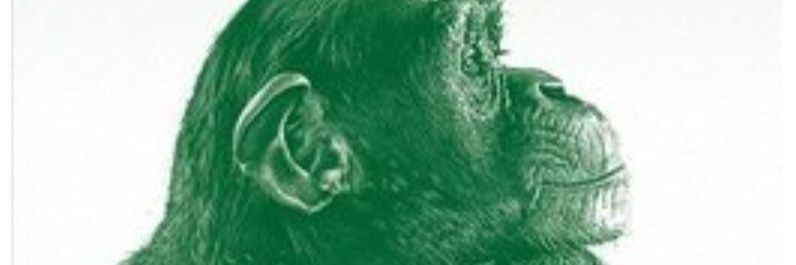 Thisis_Rave's profile banner image