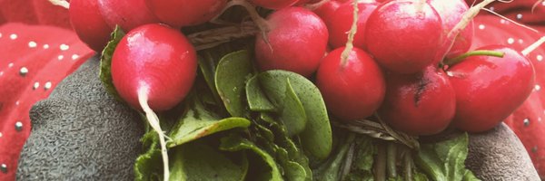 MakandraShl Profile Banner