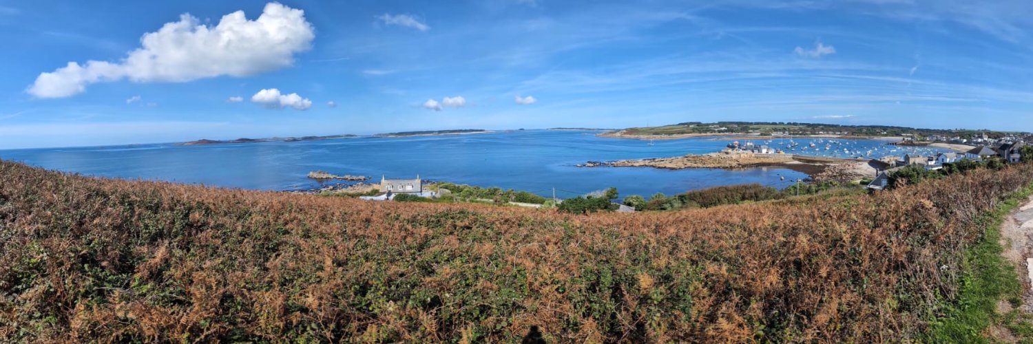 Rose 💙 #ceasefireNOW 🇵🇸 #Assangeisfree banner