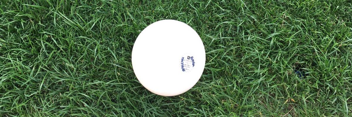 Gustavo Garabal banner